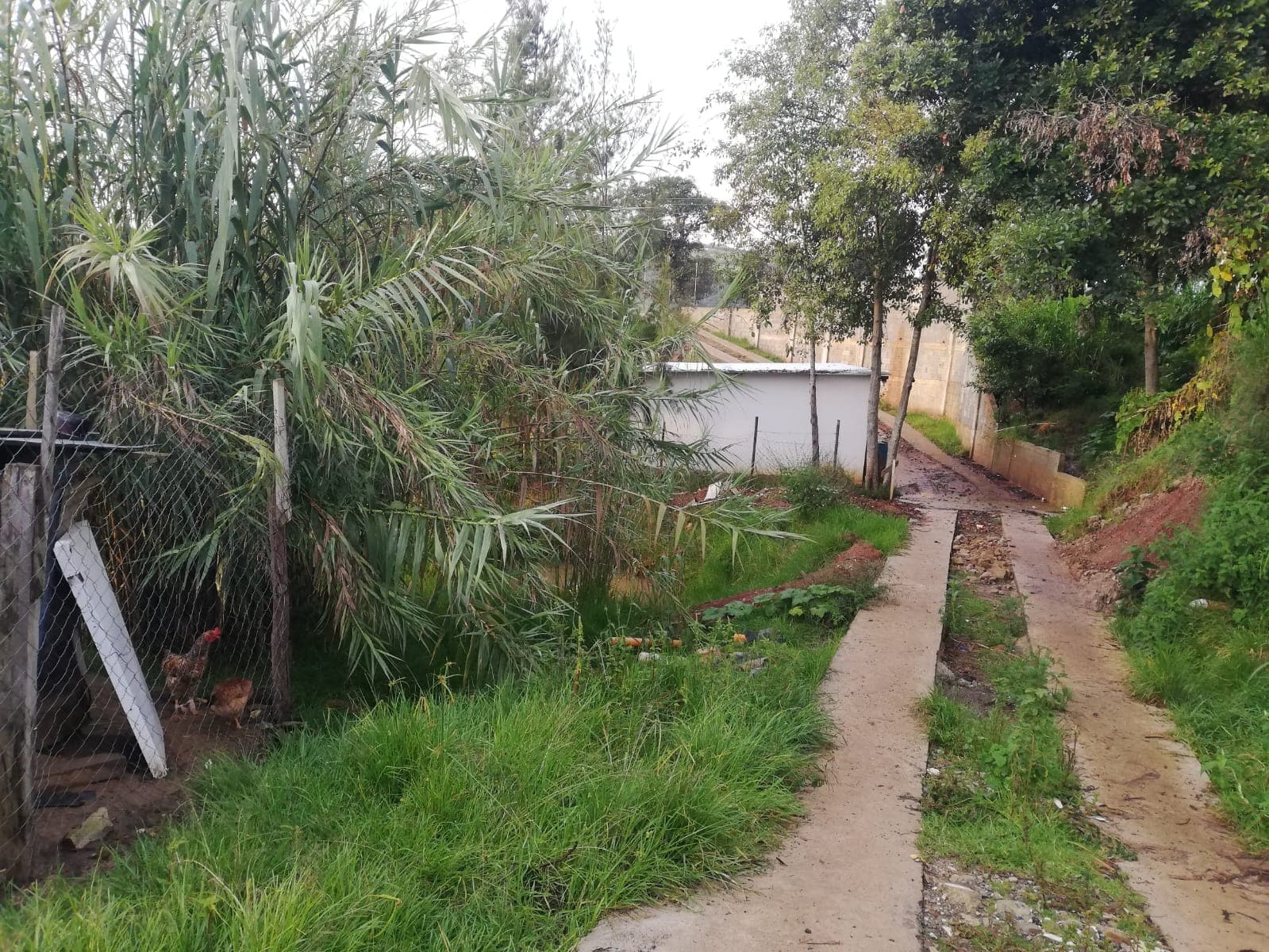 Water Catchment System