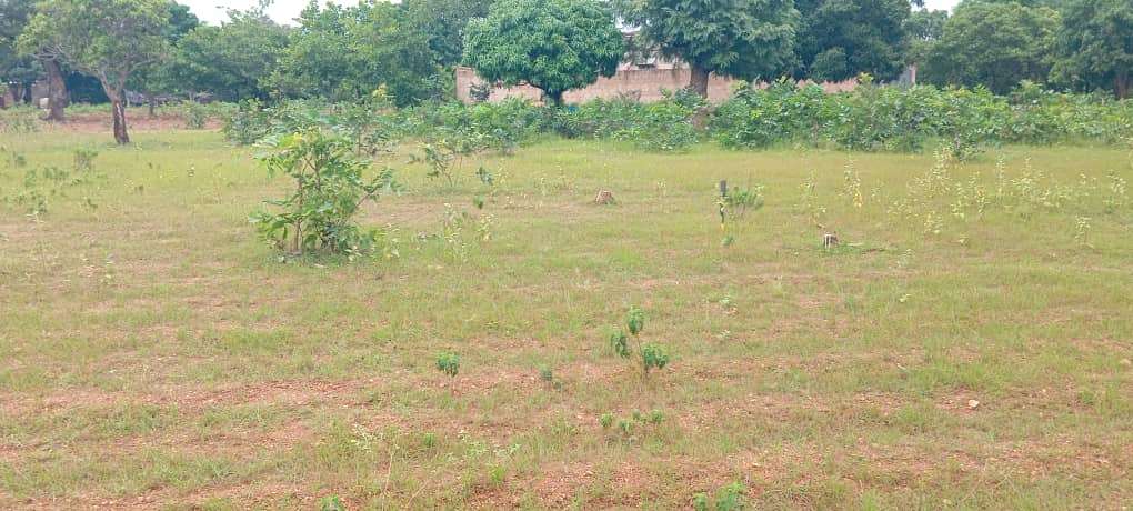 Undeveloped church land