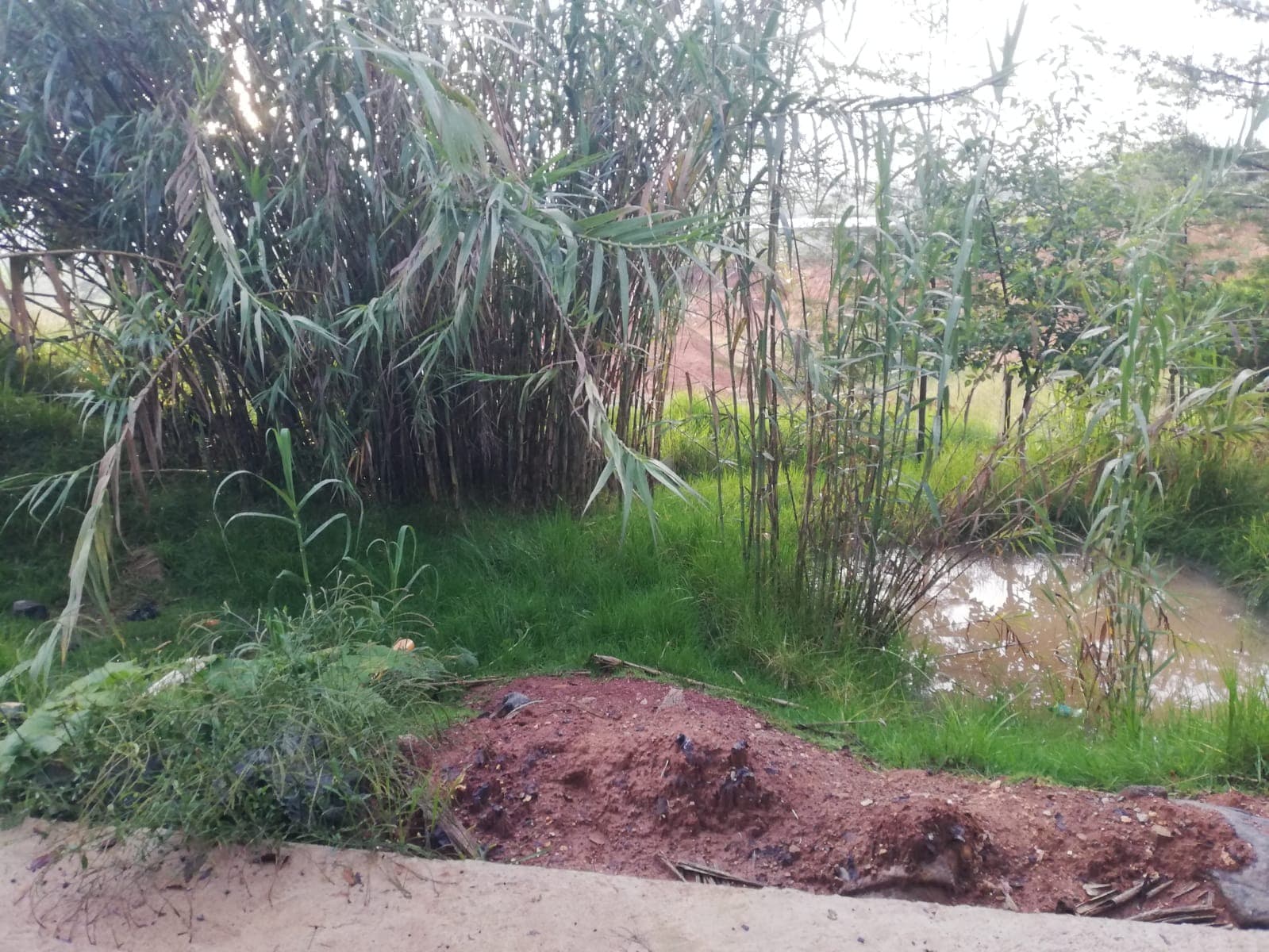 Water Catchment System