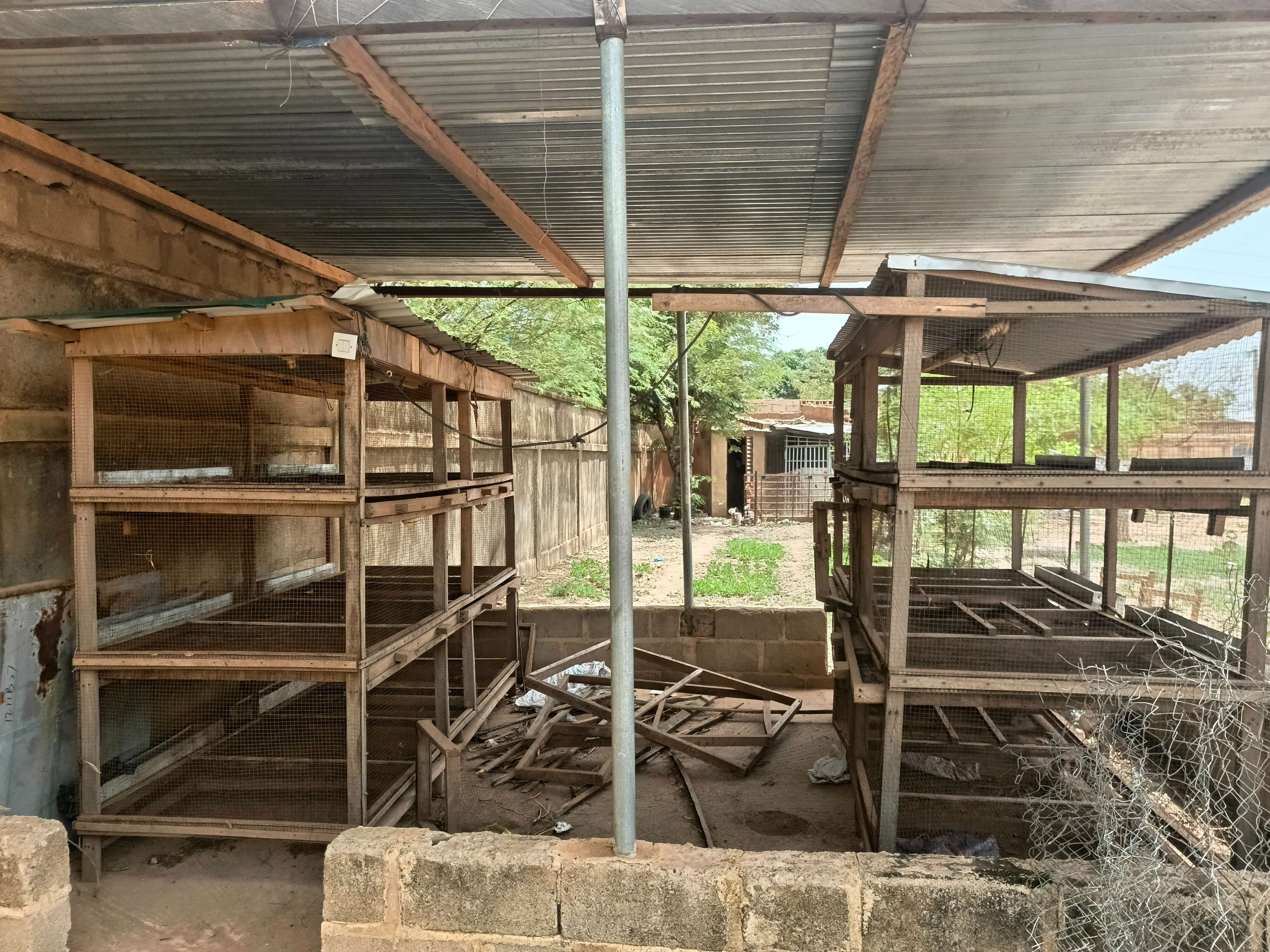 "Breeding and selling chickens"