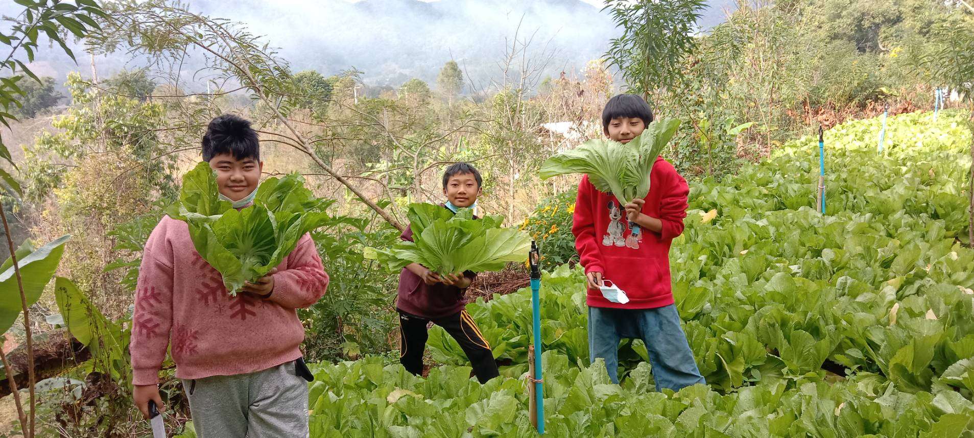 Children Proudly Displaying Their Own Grown Vegetables: A Journey of Growth and Learning
