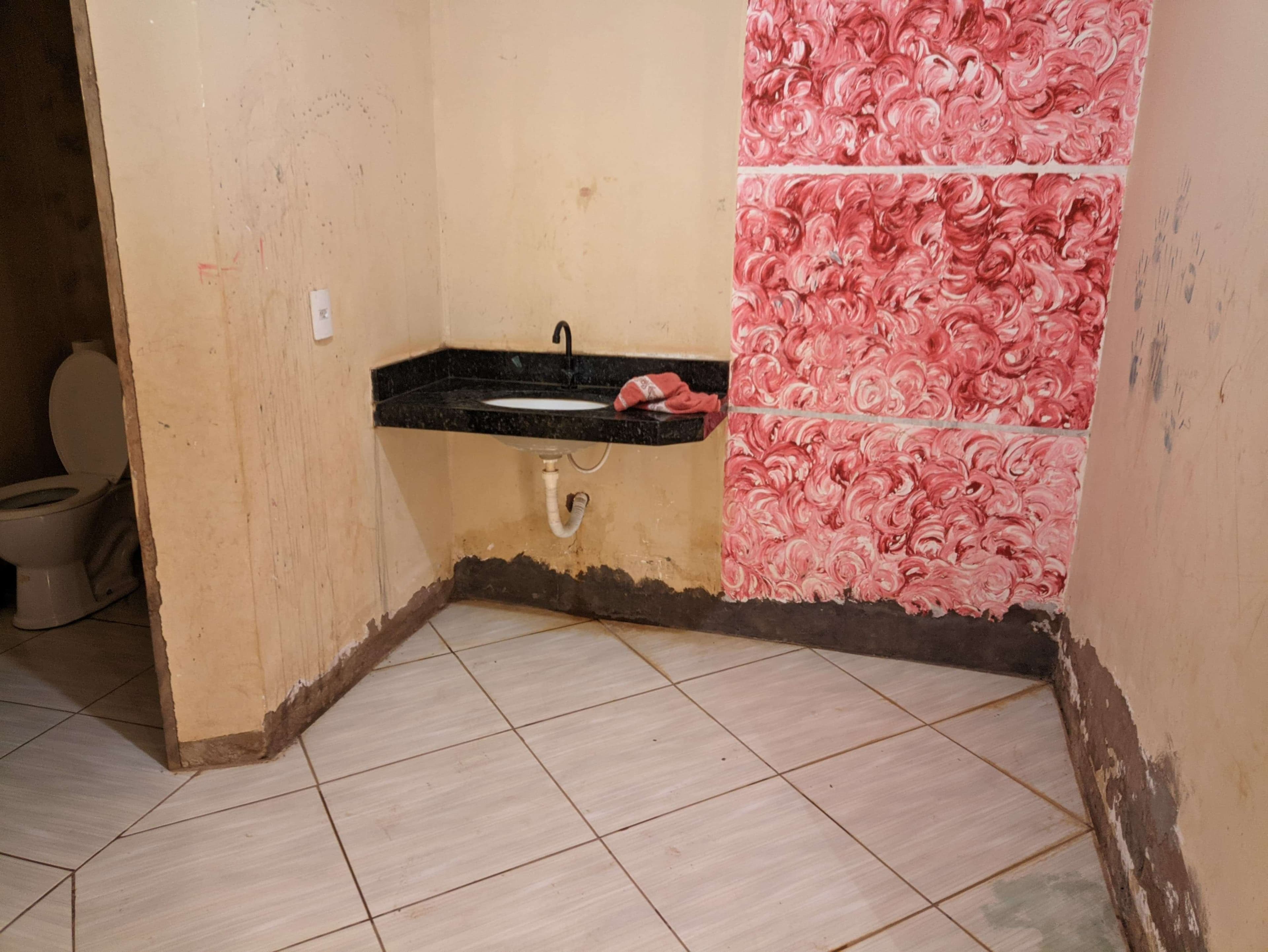 Female Bathroom  - poor paint, bad plumbing