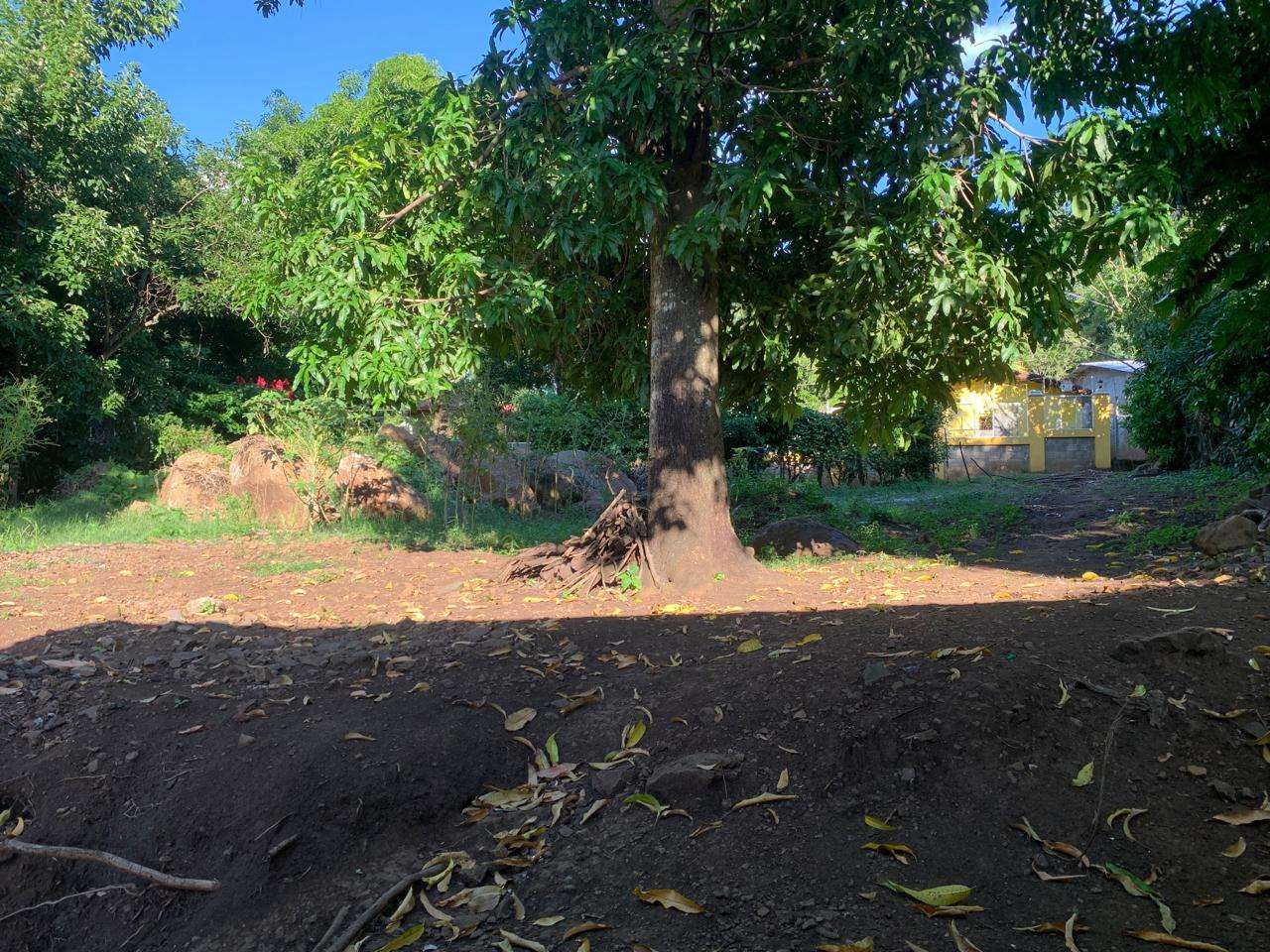 Spaces available for implementation of cause.