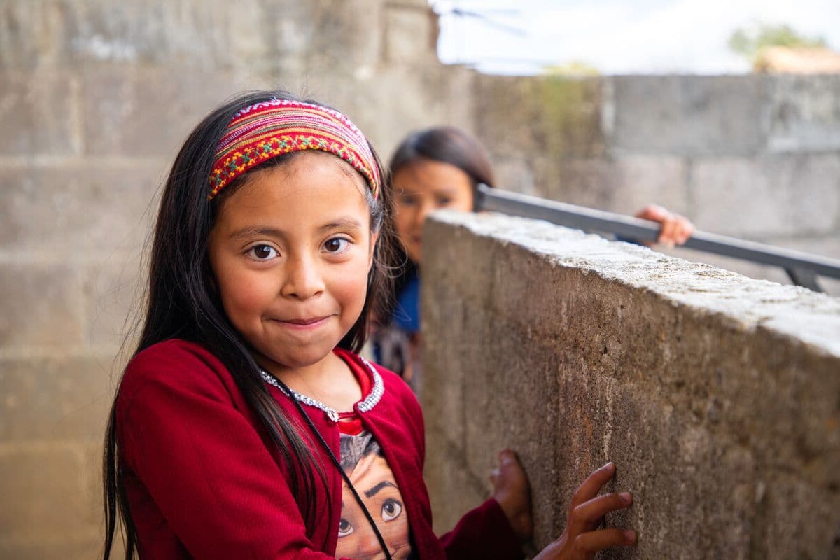 Verto viduo curo admoneo terebro trado.
