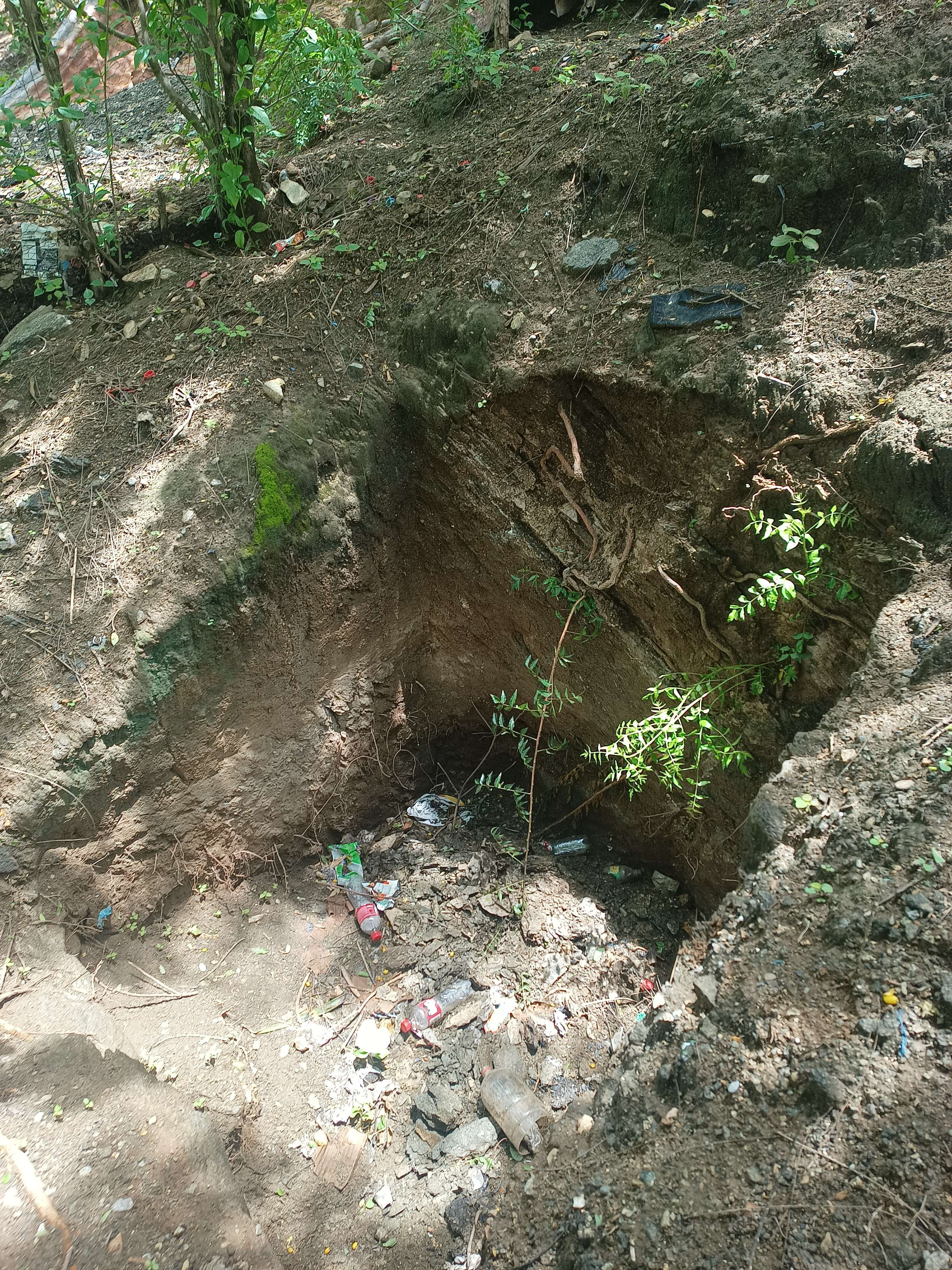 HEALTHY HOMES WITHOUT POLLUTION