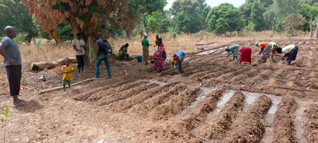 Parental support for the Garden's hilling