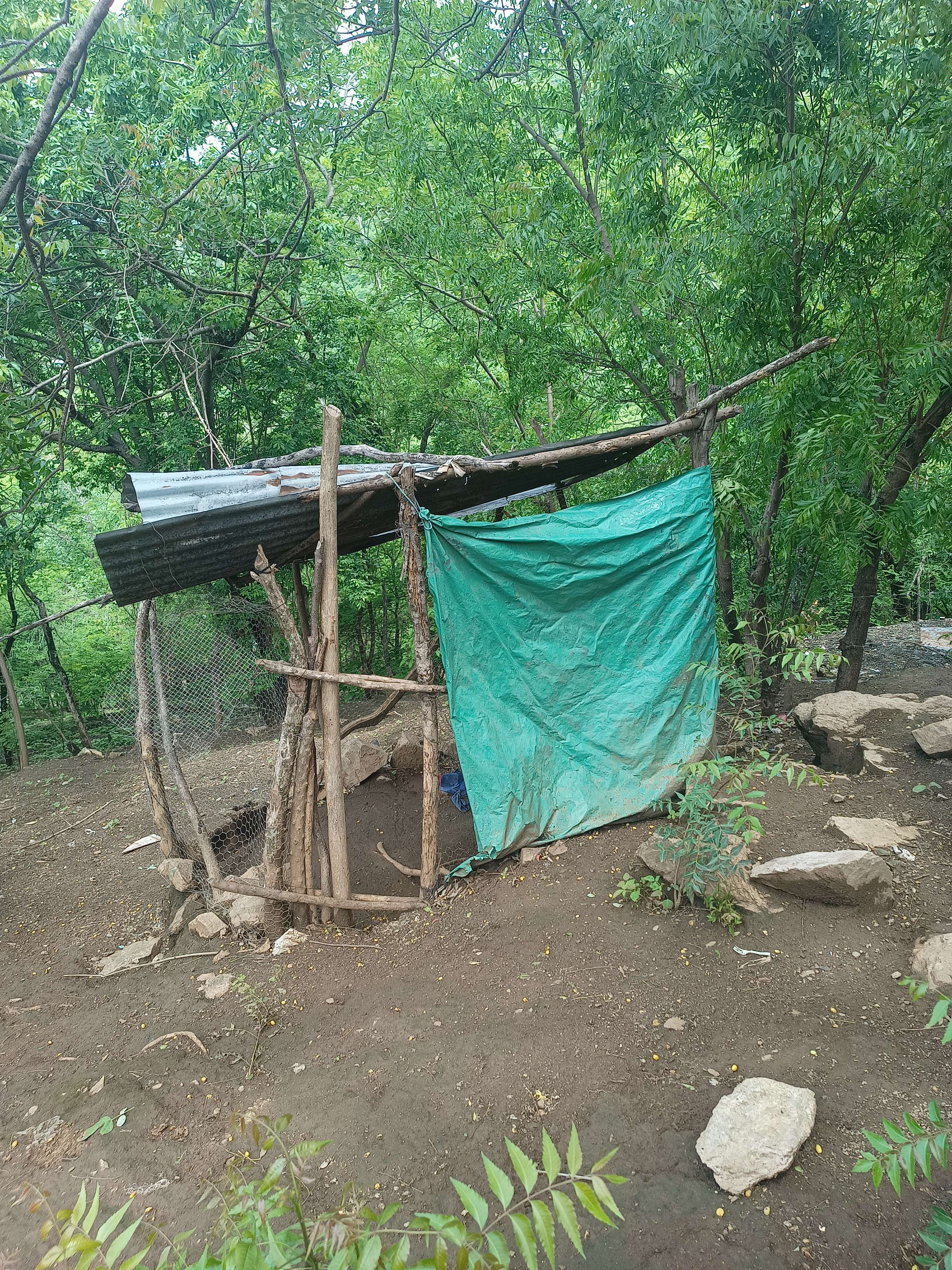 HEALTHY HOMES WITHOUT POLLUTION