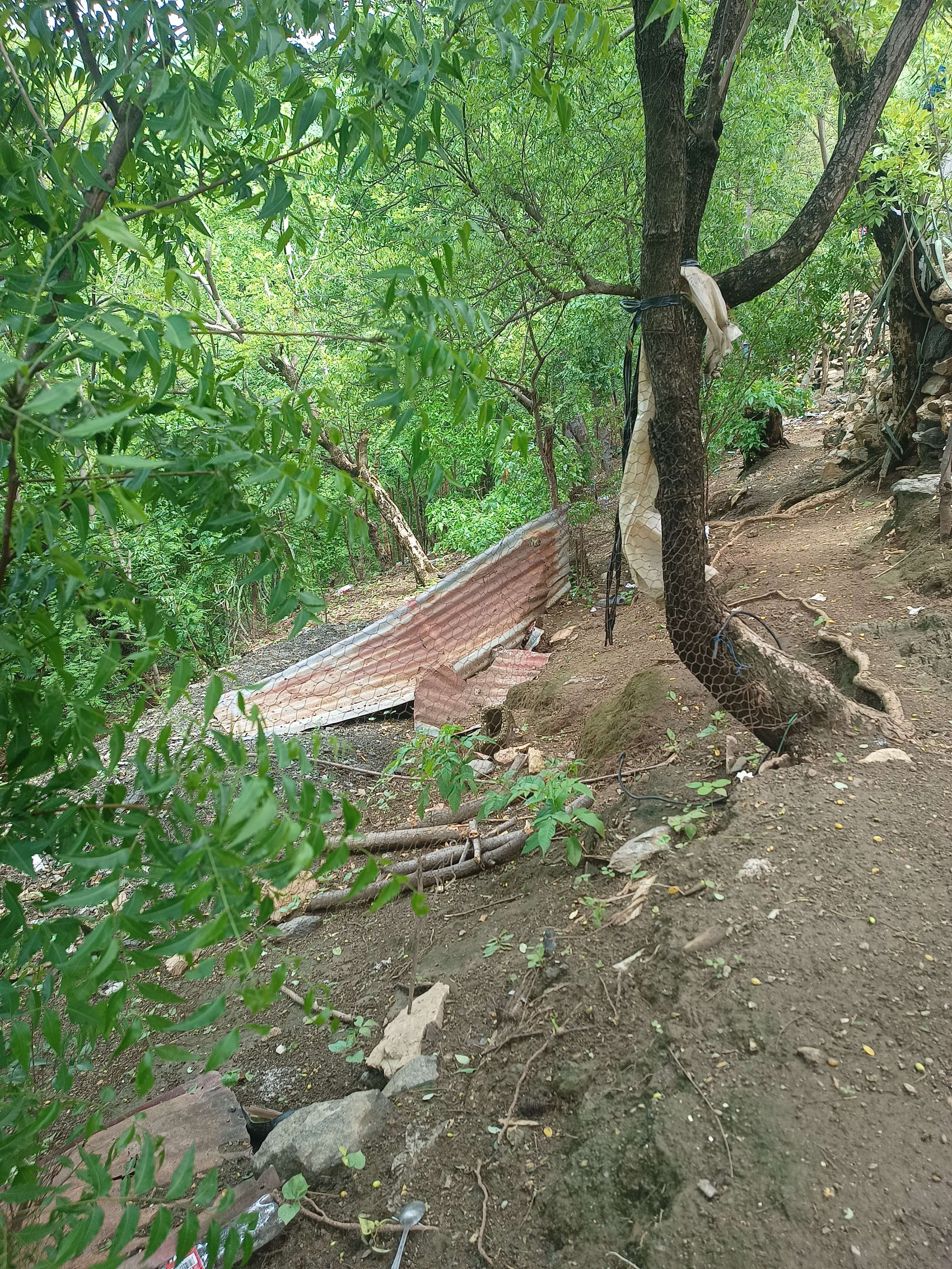 HEALTHY HOMES WITHOUT POLLUTION