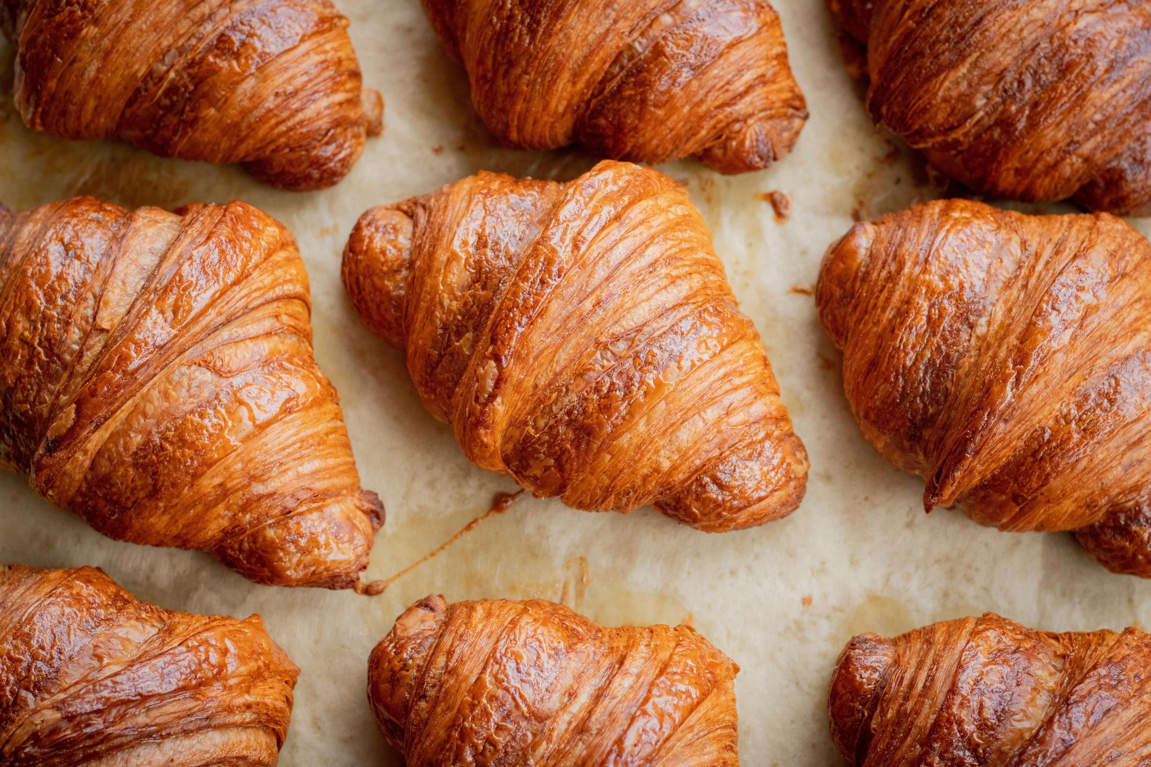 Bakery Cause Revised