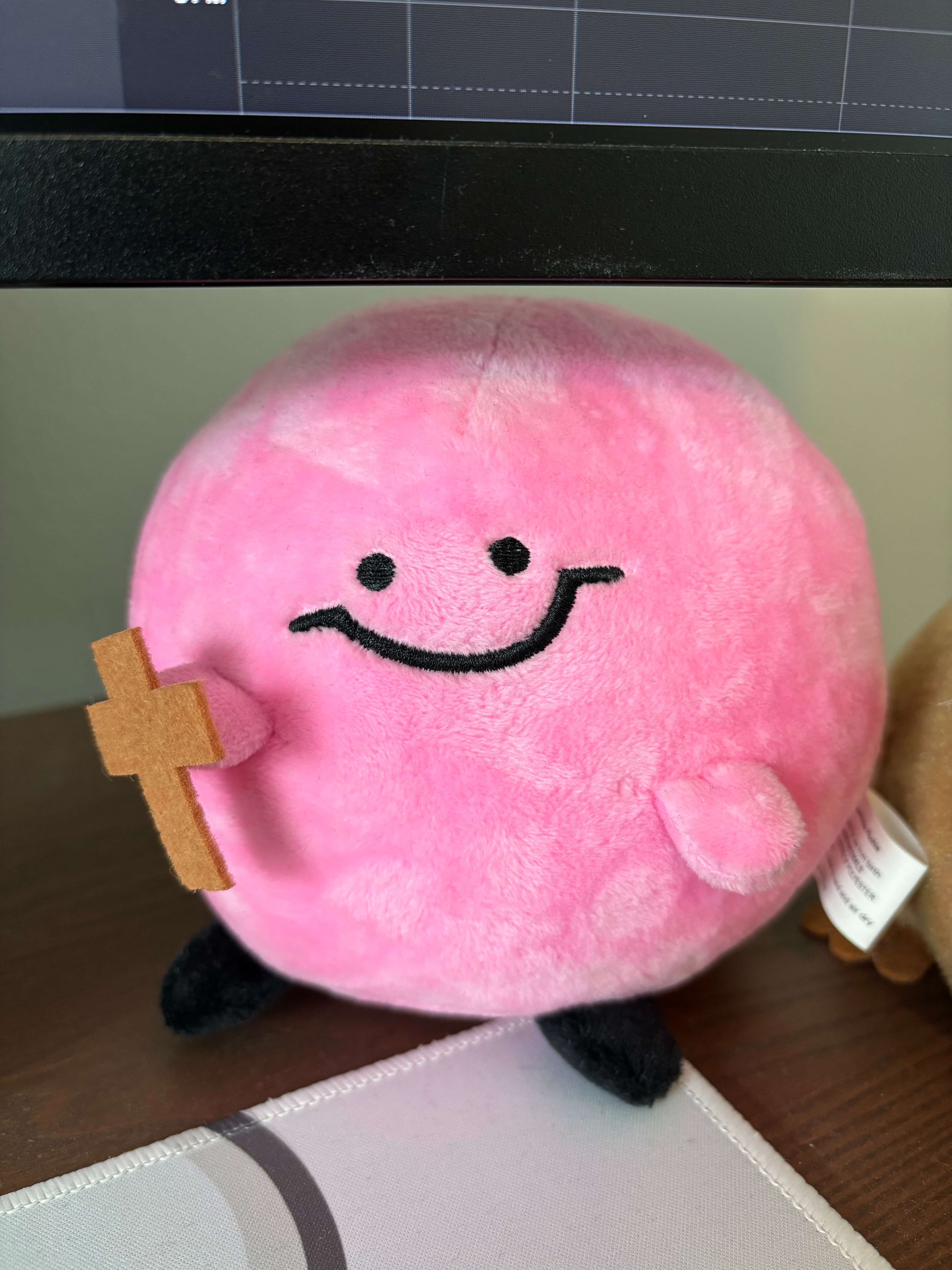 Joshua's suspiciously plush rubber ducky