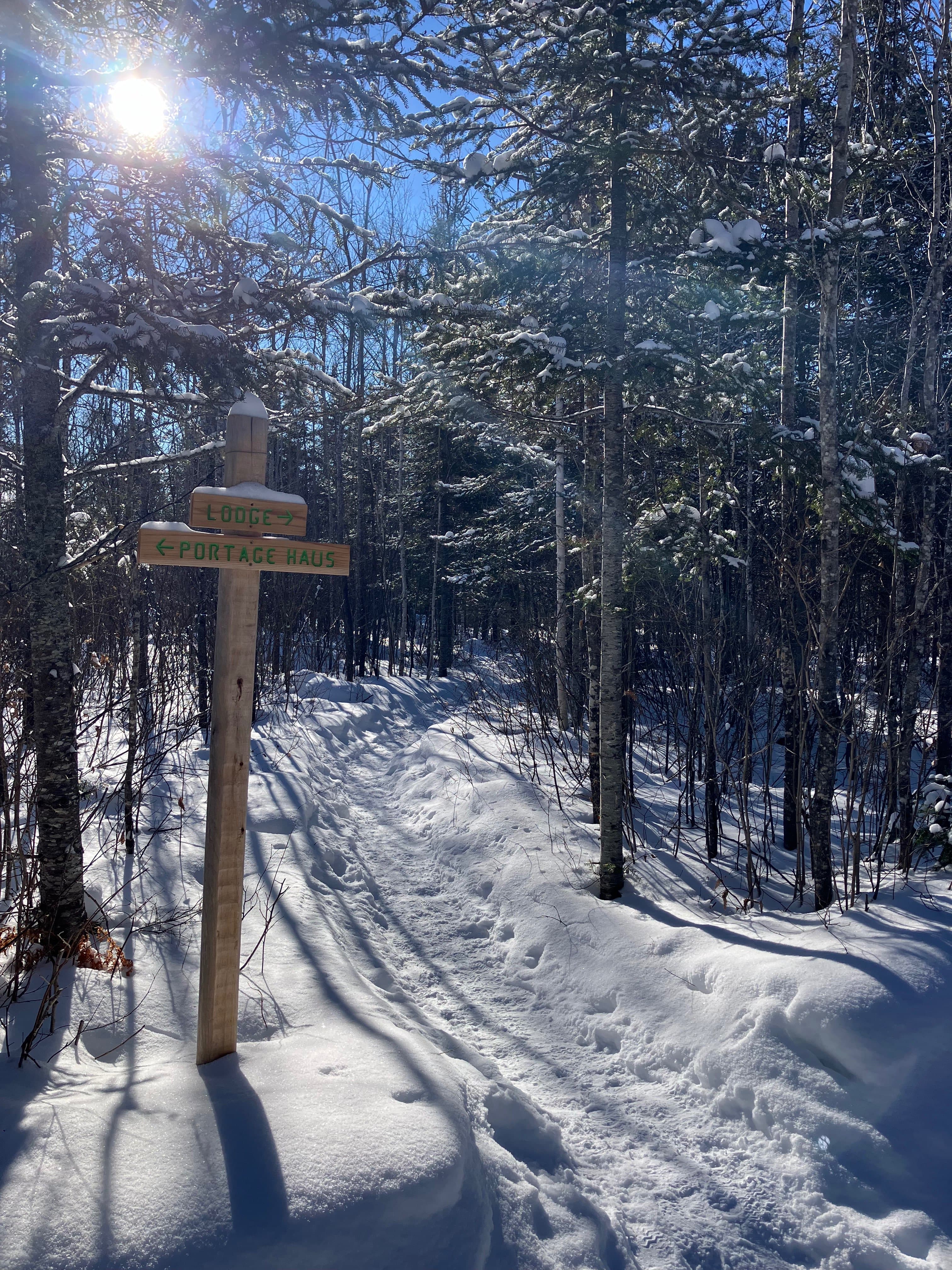 This is my cause and it is going to be great