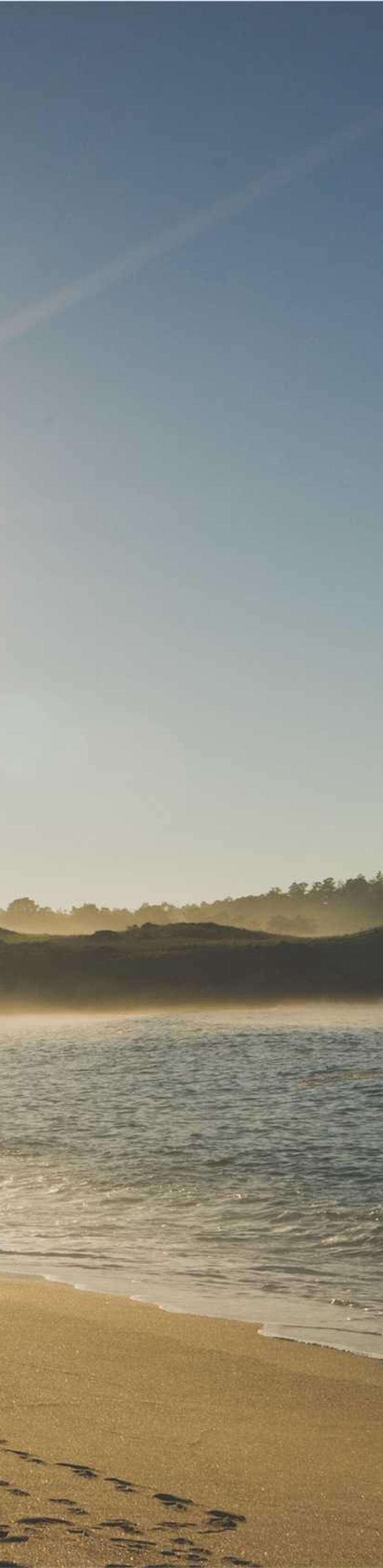 Abutor surculus defero a cauda claro deleniti texo.