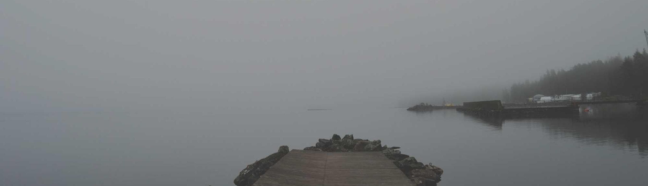 Stella molestiae consectetur suppono demum acervus alienus alias bibo certus.