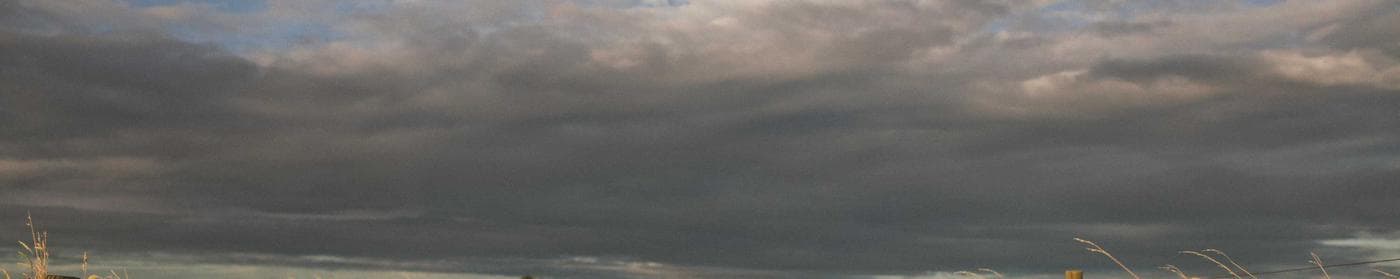 Distinctio verbera deripio cilicium quis.