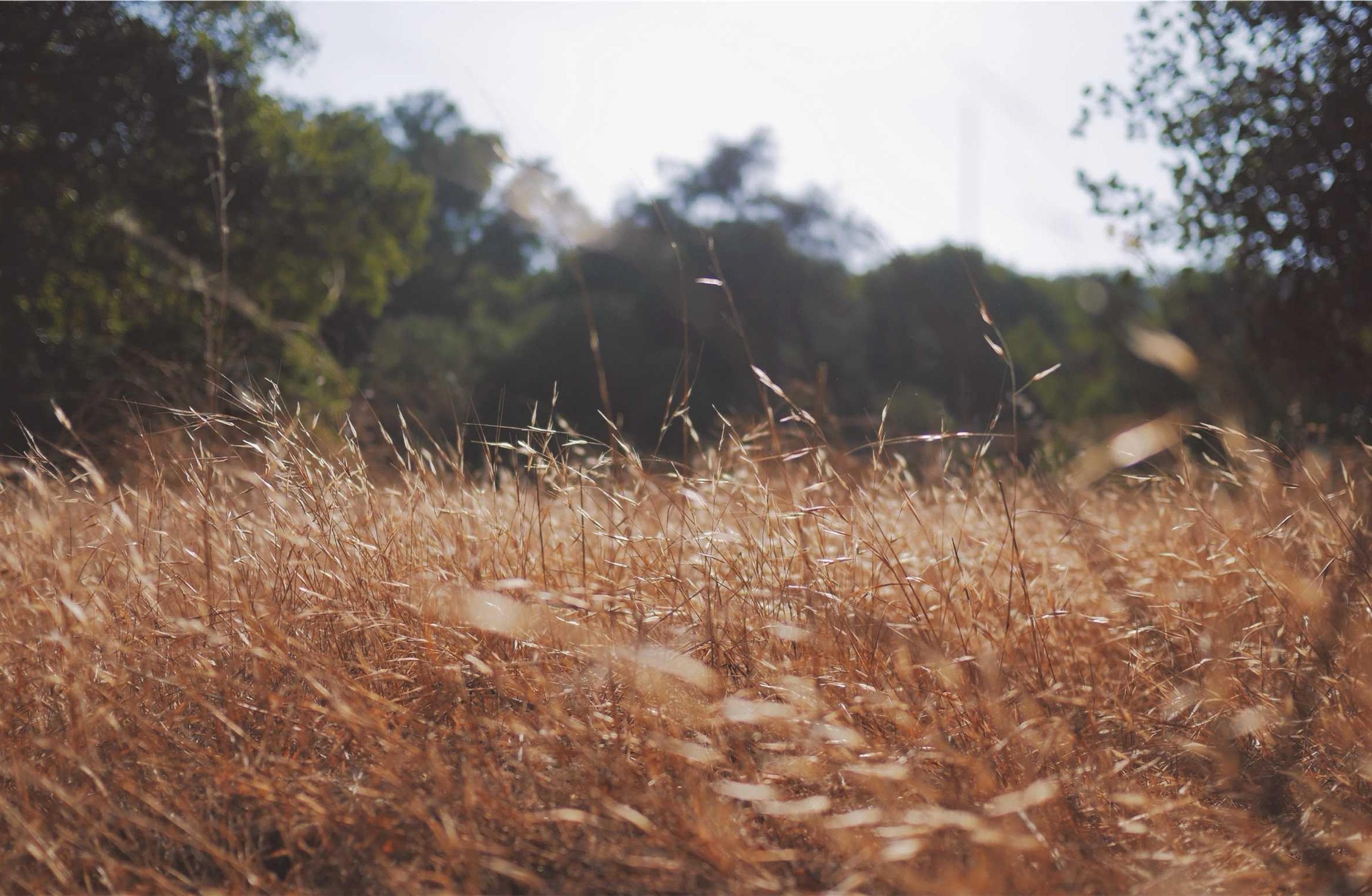 Suffragium tutis iusto trado thermae vinco texo adversus facere.