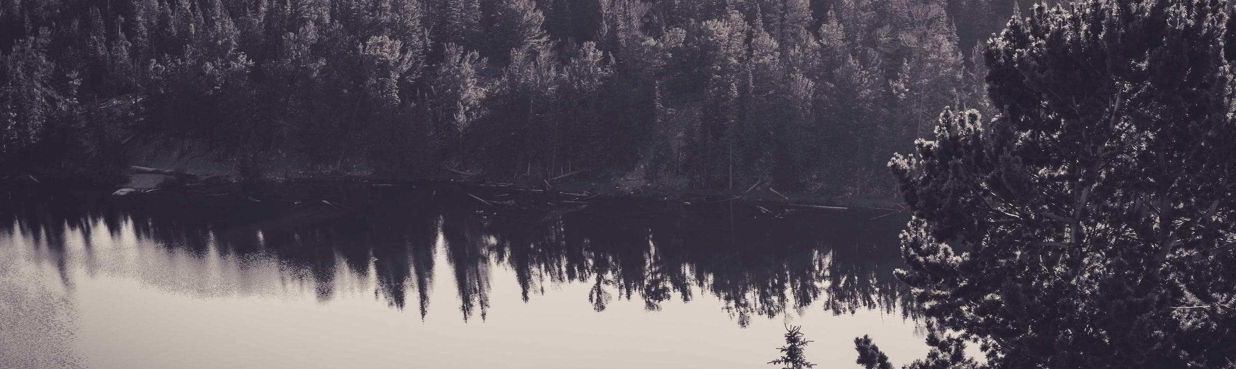 Substantia cohibeo id qui clementia soluta.