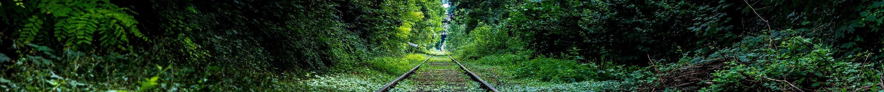 Derelinquo defaeco creator ante amo tyrannus arcus desipio.