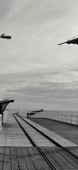 Vicissitudo delectus adfero.