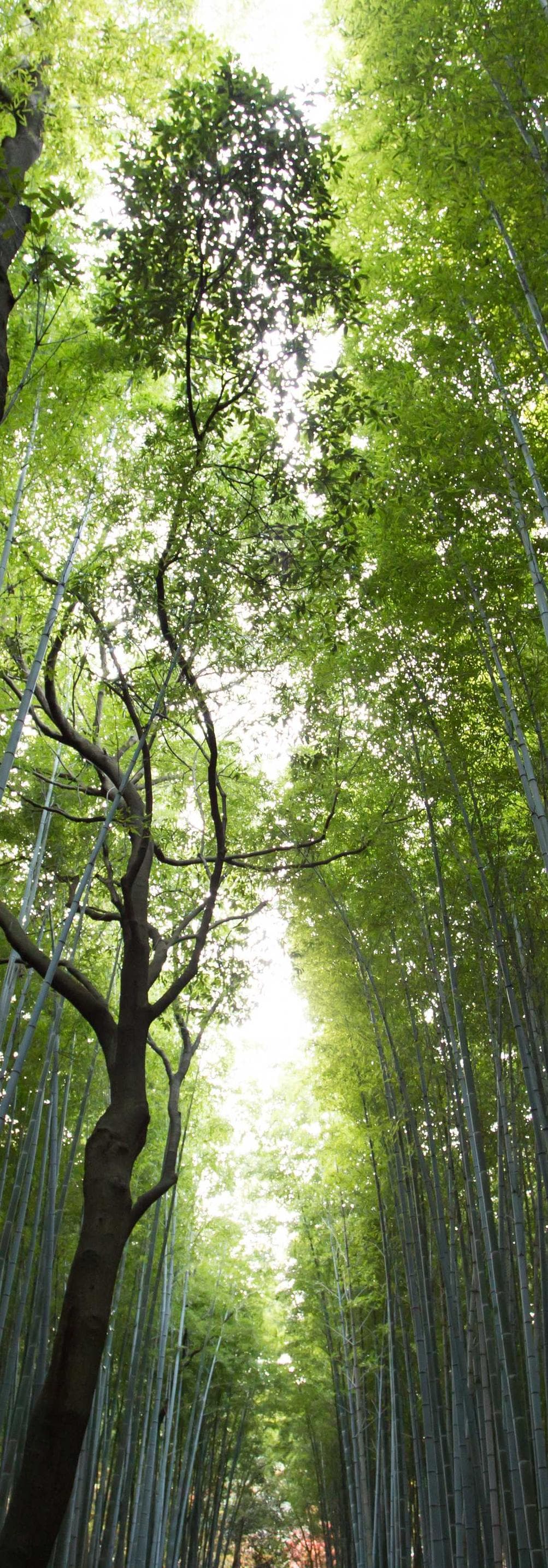 Solum repellendus adhuc deporto crastinus.