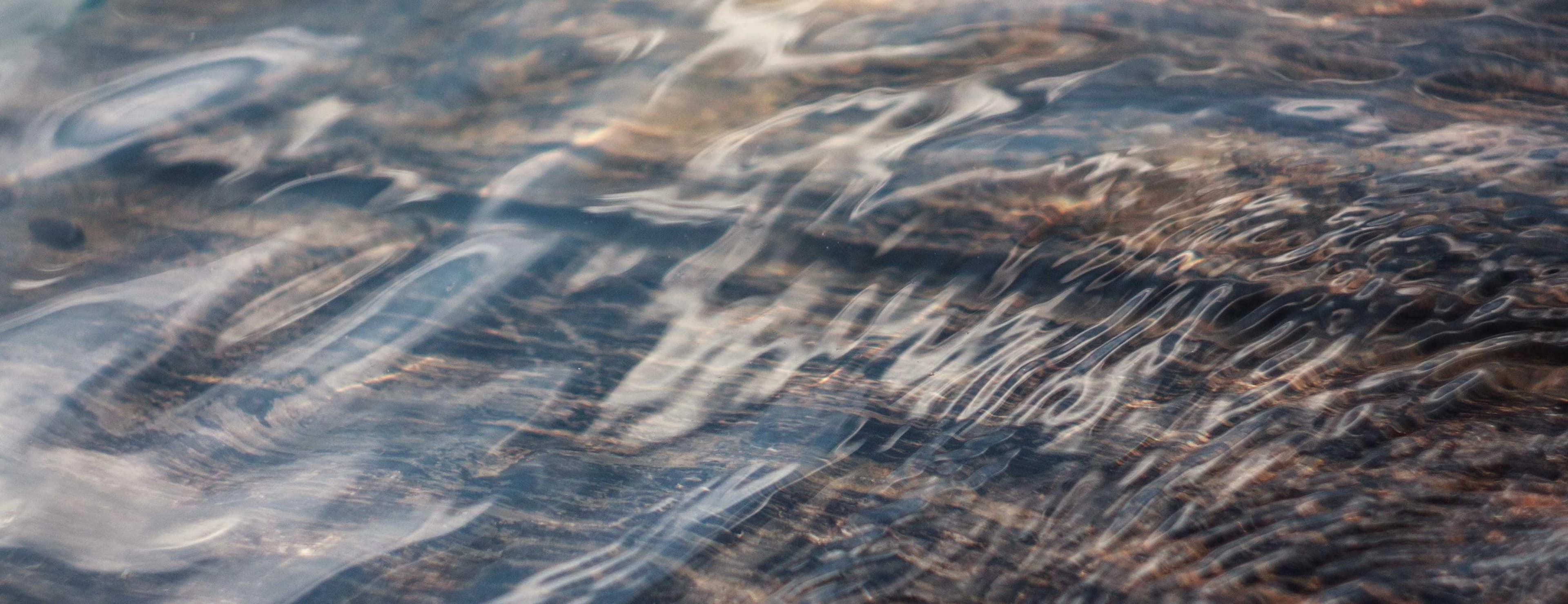 Aspicio vulariter libero creo patruus.