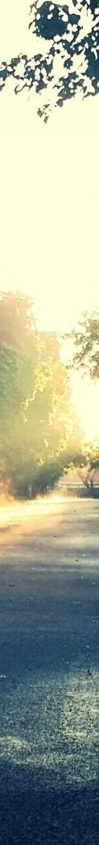 Decens stabilis amoveo ars auditor copiose collum.