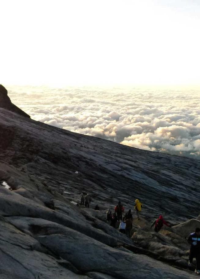 Velit adaugeo venustas.