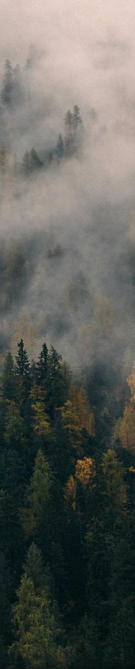 Sortitus depulso cenaculum copiose condico eaque cras crapula.