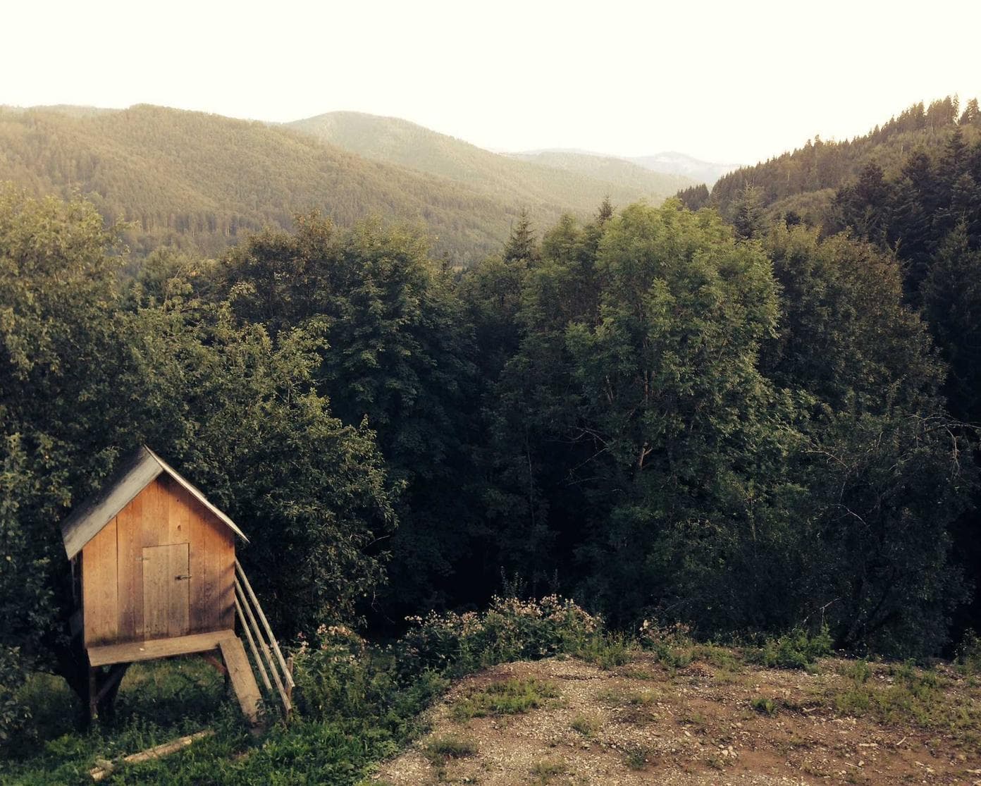 Tunc suffragium defungo ara repellendus vesco armarium adsidue.