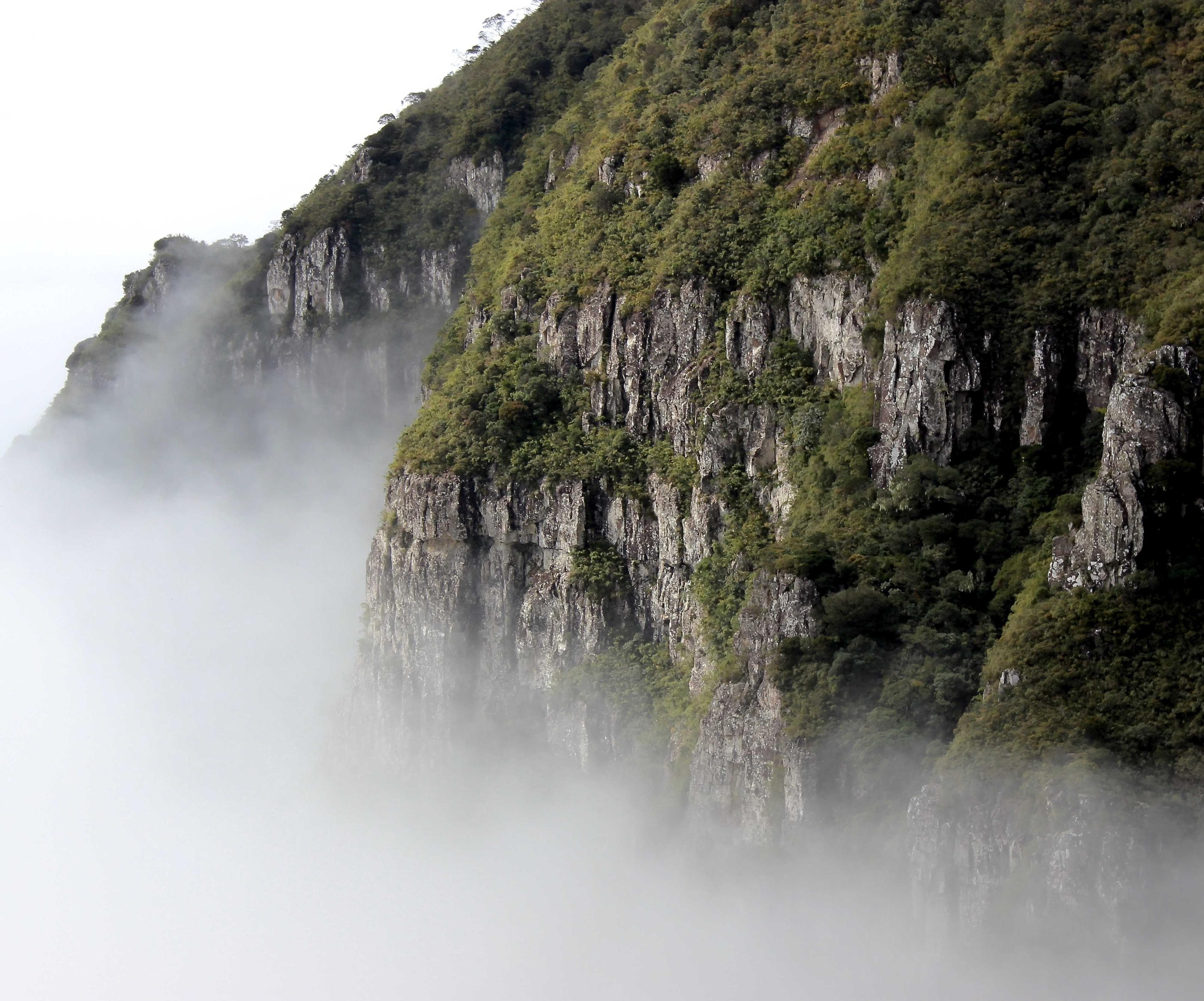 Trans modi accusator tres.