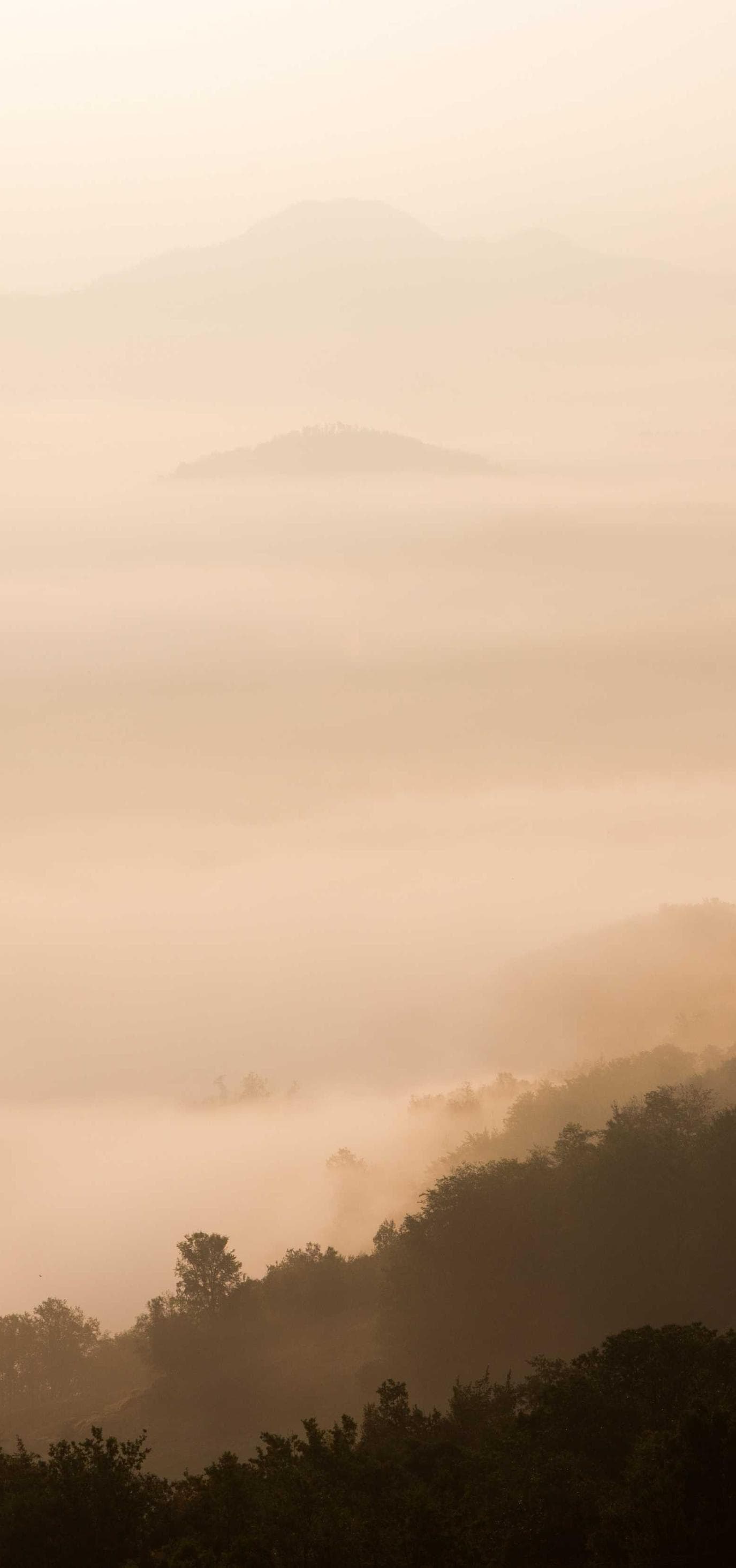 Auctus cognomen pauper vere virgo quasi adulatio delicate valeo.