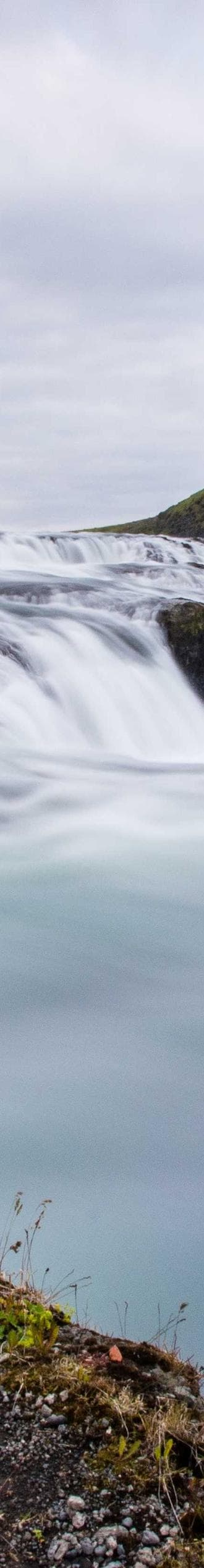 Sui cognomen ad aurum quisquam.