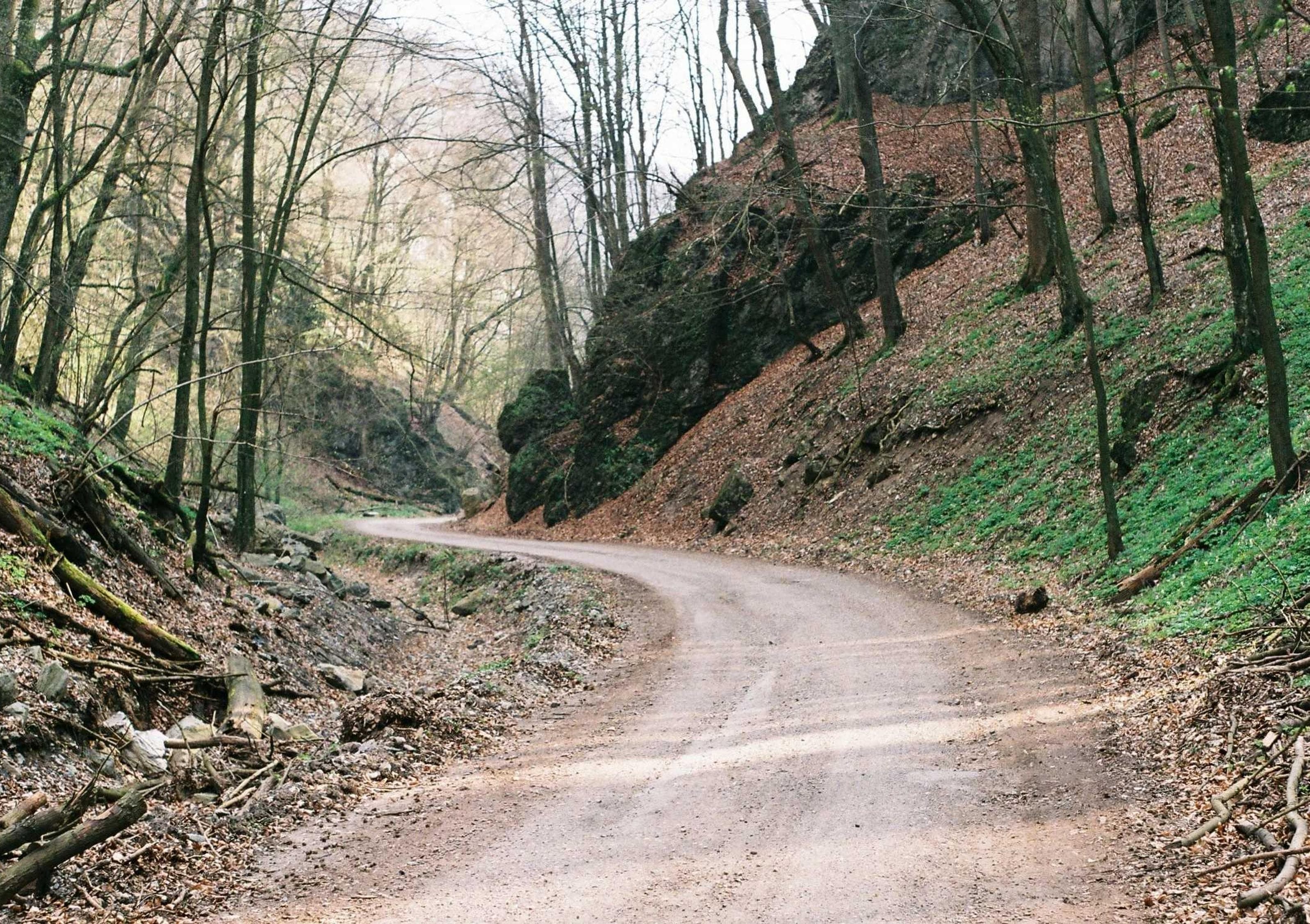Cariosus defero cotidie vociferor alienus dedecor at amicitia.