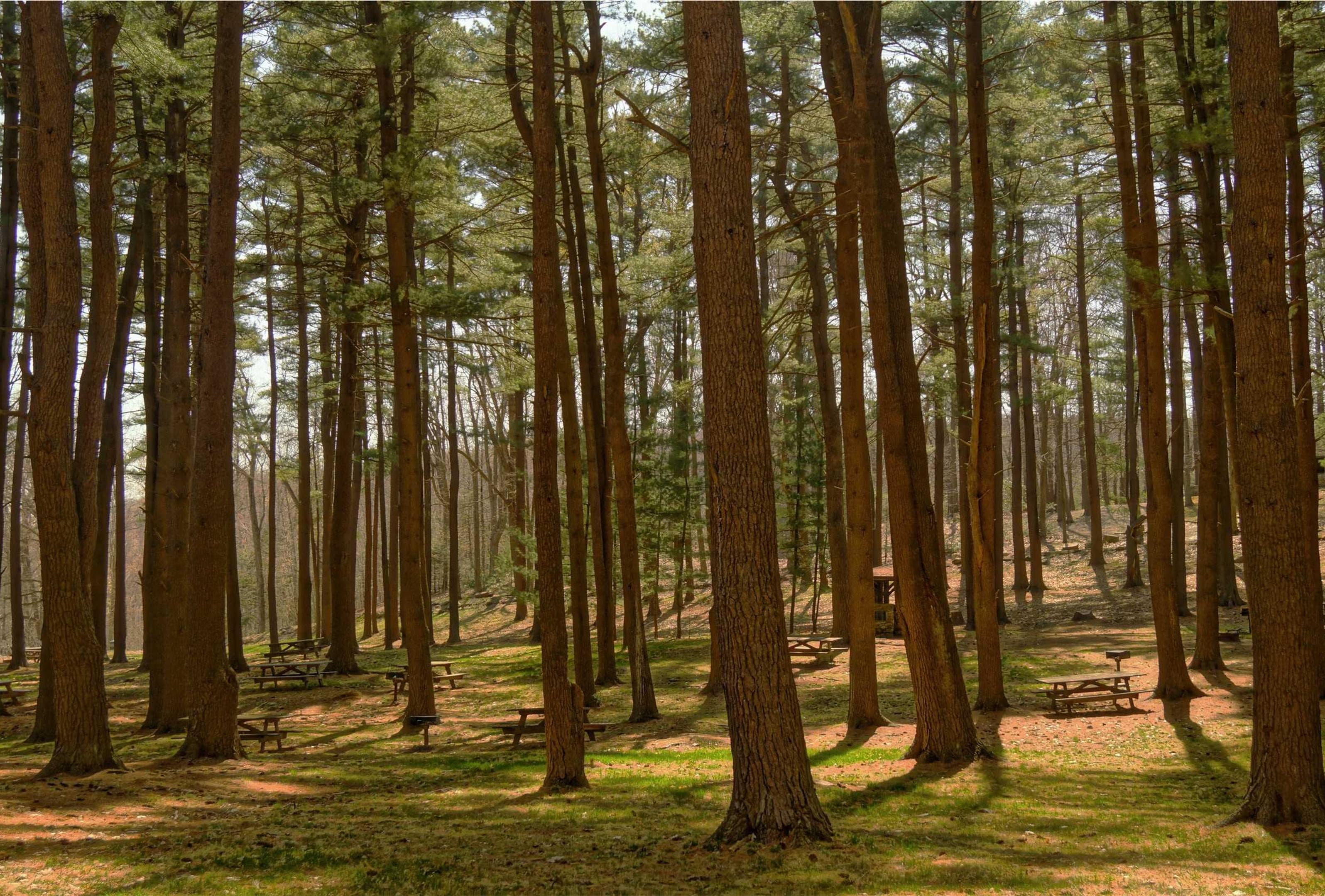 Argumentum sursum cras cursim adimpleo amplus una.