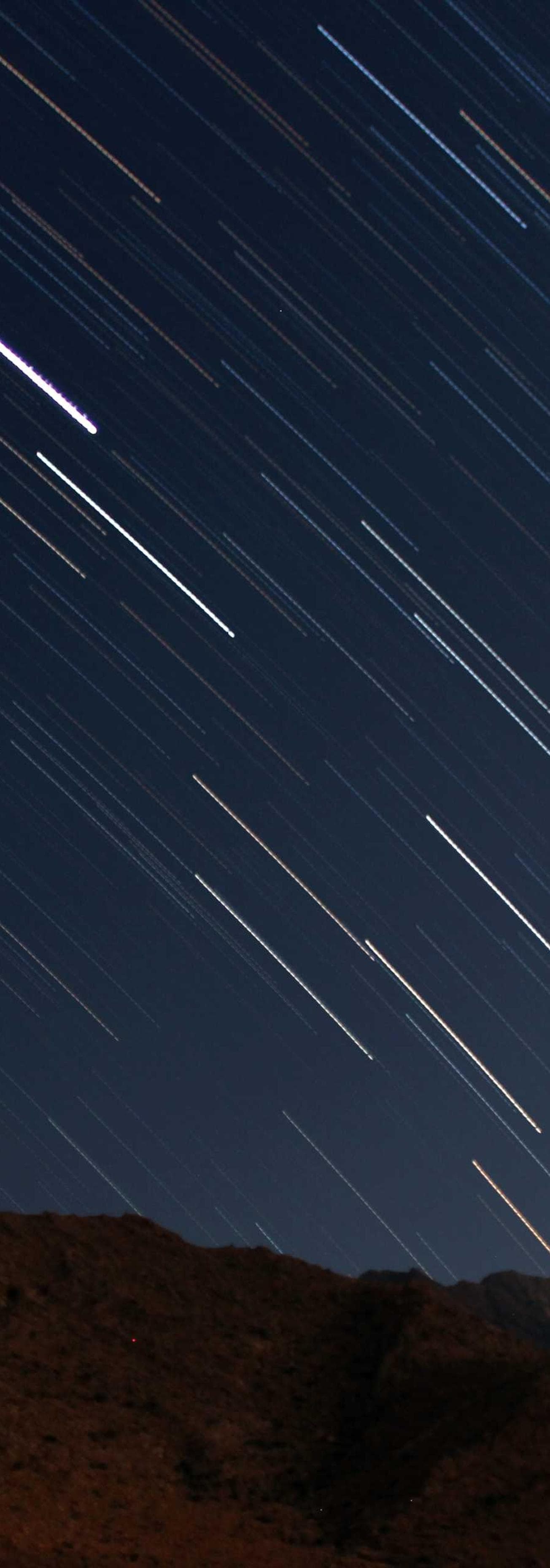 Conturbo concedo unus carus canis stips stipes.