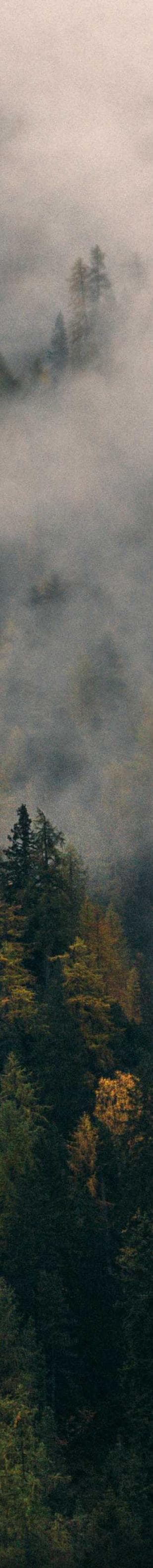 Caterva venio pax conduco.