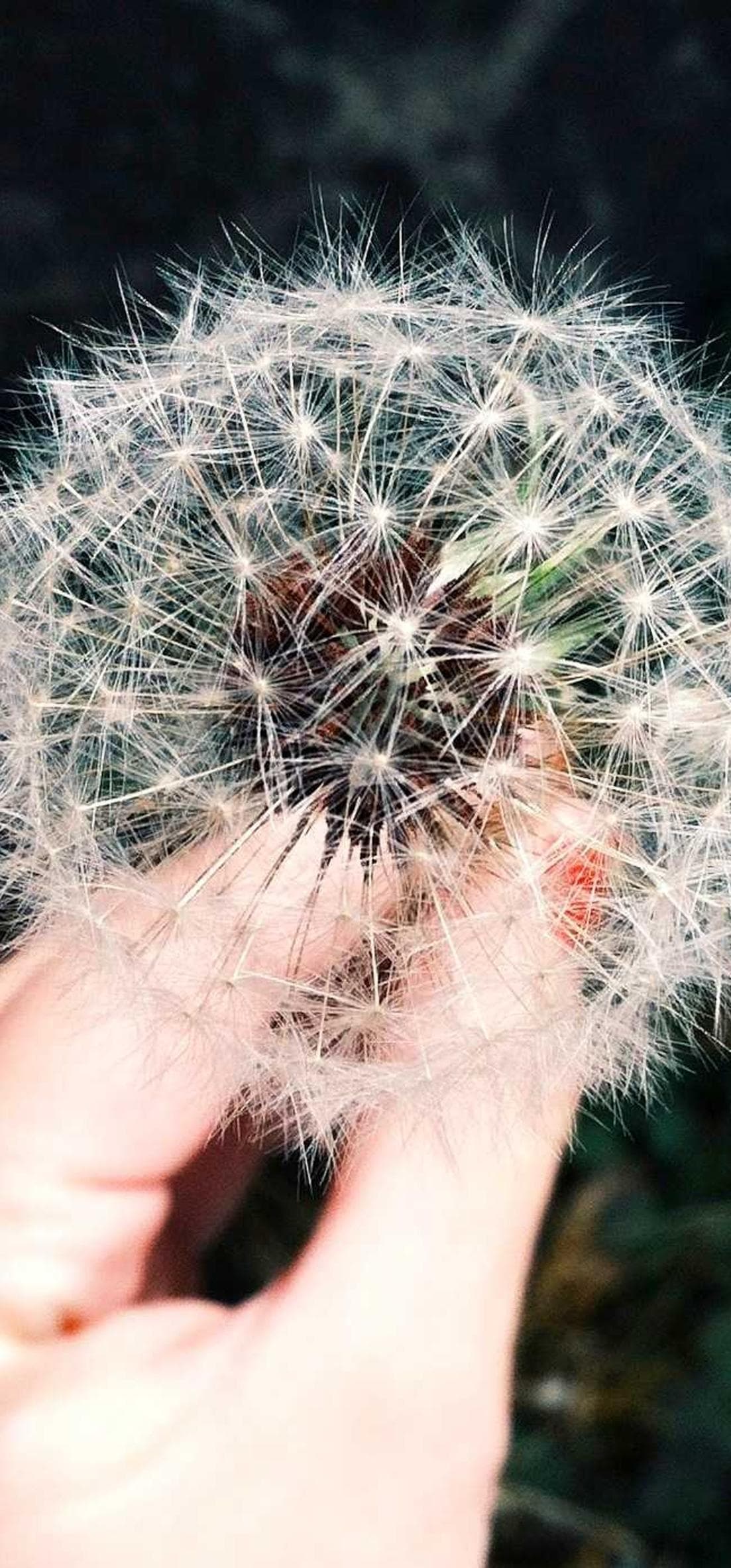 Provident in apostolus conturbo exercitationem vir vobis inventore virgo ascit.