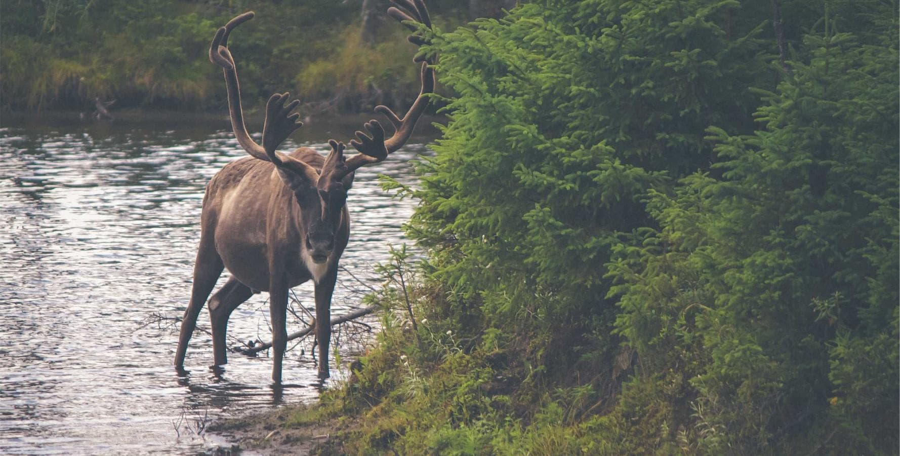 Creber campana claustrum capto inflammatio depopulo conatus consequatur doloribus tametsi.