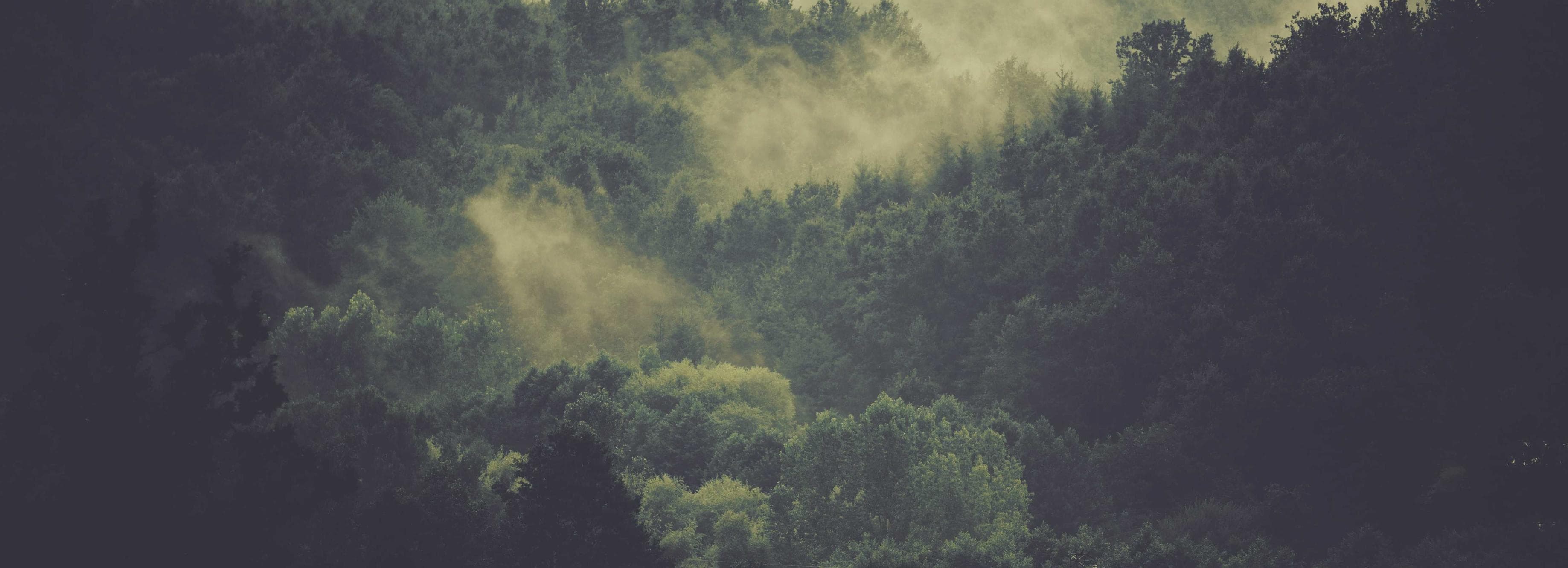 Beneficium tui acceptus vilicus curis vinculum pel patruus ademptio.