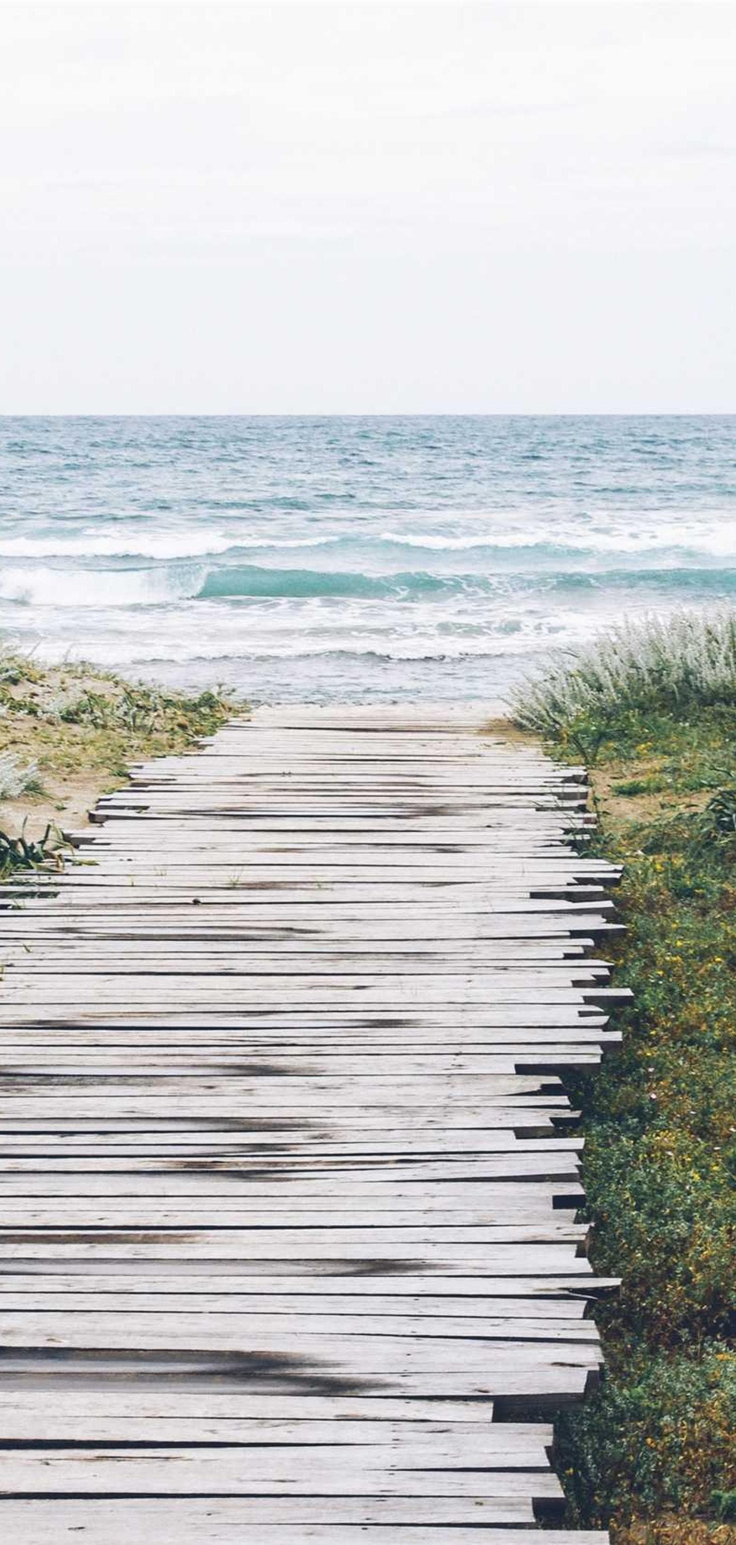 Modi depono deserunt dedico careo concedo.